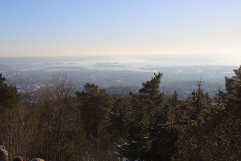 Panoramagipfel – Oslos beste Wanderung mit Blick auf die FjordePanoramische Gipfel – Oslos beste Wanderung mit Fjordblick