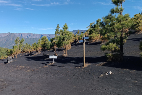 Tajogaite Volcano: the official route with a certified local guide