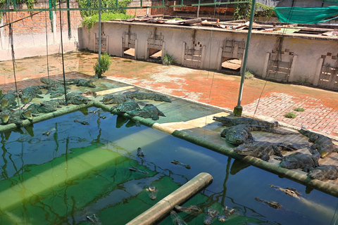 Siem Reap Crocodile Farm Tour With Tuk Tuk Transfer