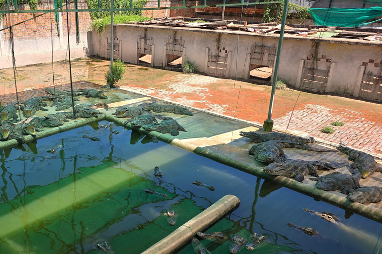 Siem Reap Crocodile Farm Tour With Tuk Tuk Transfer