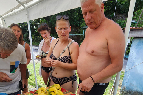 Roseau: Titou Gorge, Hot Spring, Falls & Champagne Reef Tour