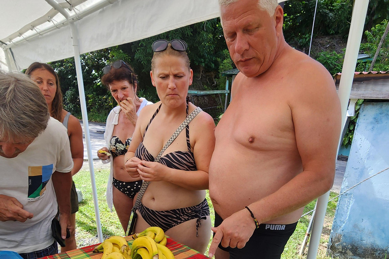 Roseau: Titou Gorge, Hot Spring, Falls & Champagne Reef Tour