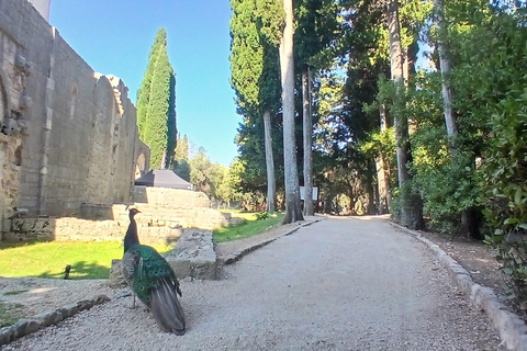 Lokrum Island Scenic Hike: History, Nature & Stories