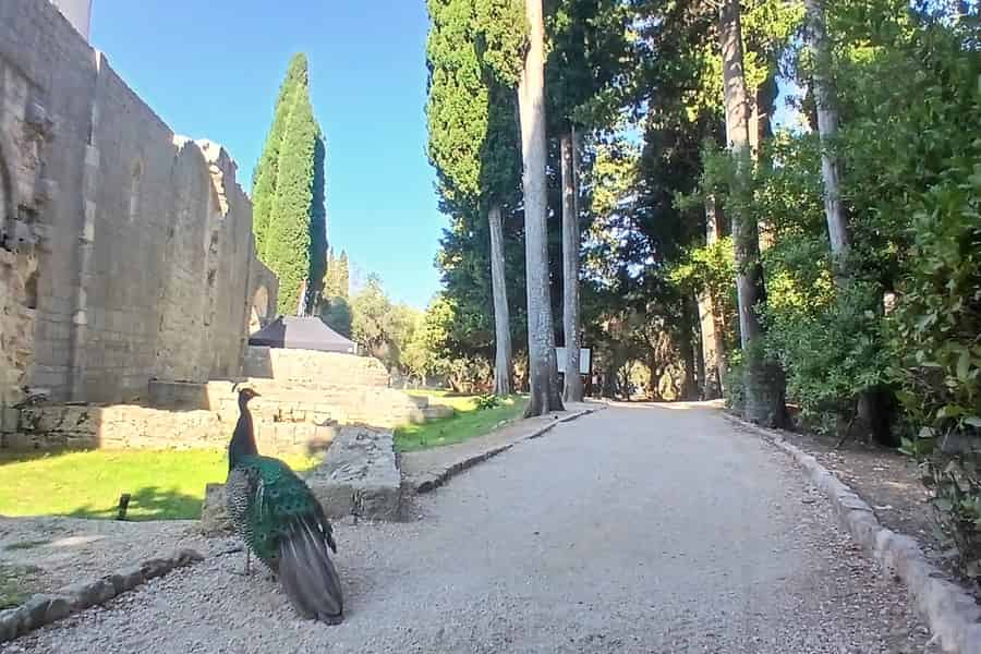 Malerische Wanderung auf Lokrum: Geschichte, Natur & Erzählungen. Foto: GetYourGuide