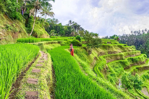 Ubud privato: Cascate, tempio dell&#039;acqua, terrazza di risoTour di un giorno (10-12 ore di tour), escluse le tariffe dei biglietti d&#039;ingresso