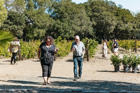 Ab San Francisco: Wine Country-Tour mit Verkostungen