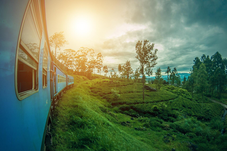 Sri Lanka grand 10-day tour