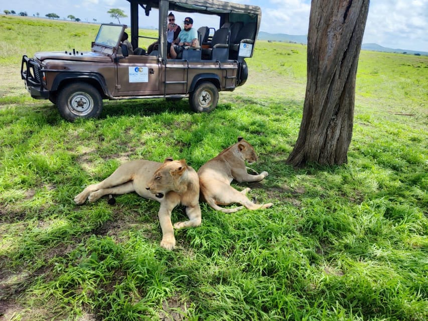 Desde Zanz Bar Un D A Parque Nacional De Mikumi Safari Guiado