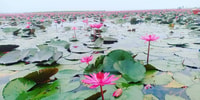 Dolce gita in barca sempre Red Lotus Lake Udonthani - Hizvo