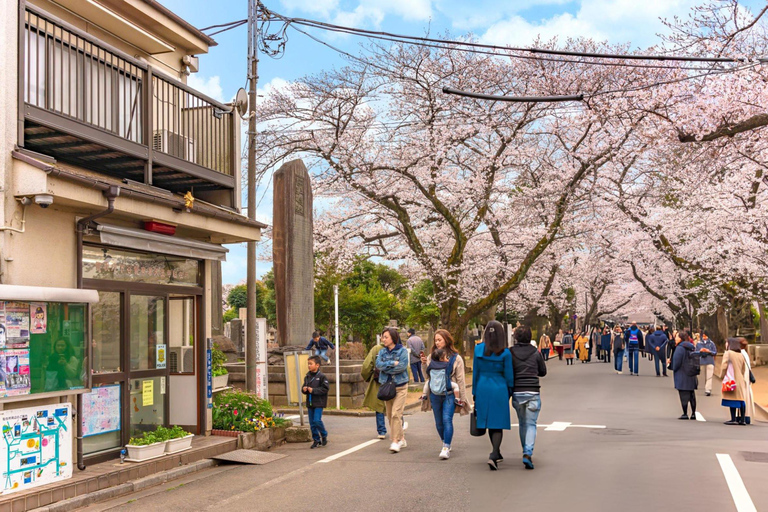 Best of Tokyo: Guided Full Day City Tour with Lunch