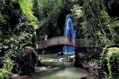Ubud 3 Hidden Waterfalls & Tegalalang Rice Terrace Tour