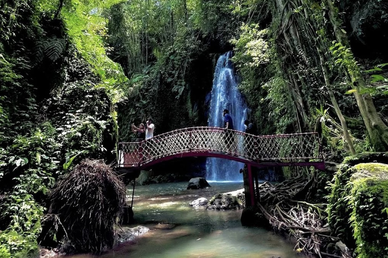 Ubud 3 Hidden Waterfalls & Tegalalang Rice Terrace Tour