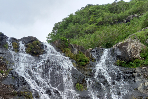 Tamarind Falls 7 Waterfalls (7 Cascades) por Mystik AdventureMeio dia em Tamarind Falls 7 Waterfalls pela Mystik Adventure