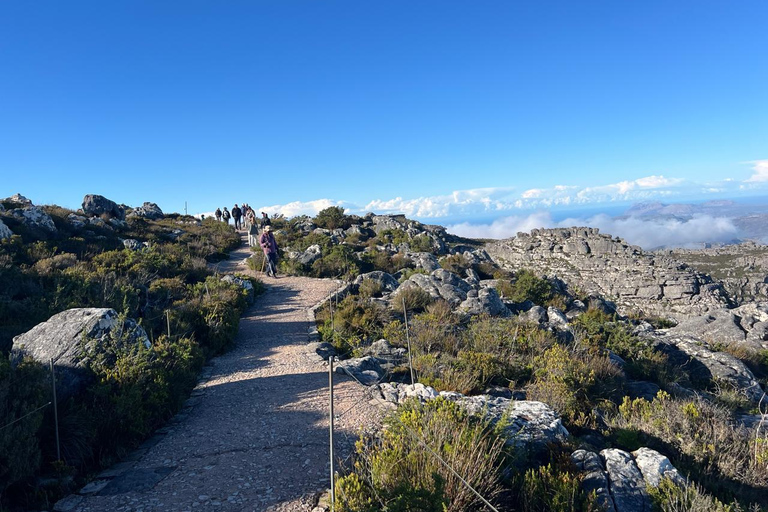 Uma excursão exclusiva de 1 dia para a Table Mountain e a Robben Island