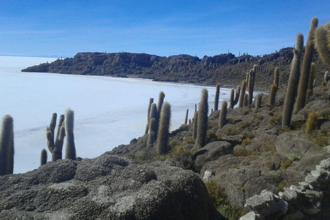 La Paz: Tour Uyuni terminando no Atacama Chile de ônibus.