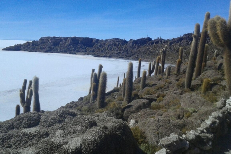 La Paz : Tour d'Uyuni se terminant à Atacama au Chili en bus.