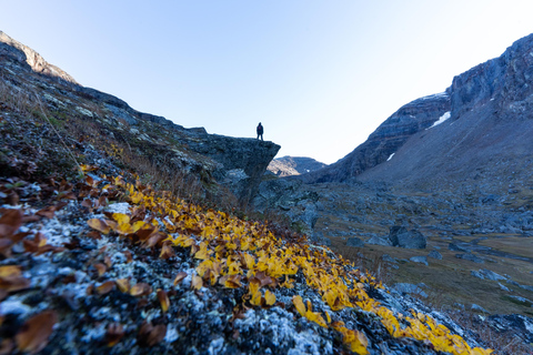 Abisko: Guided Hike to Lake Trollsjön with Photos & Drinks