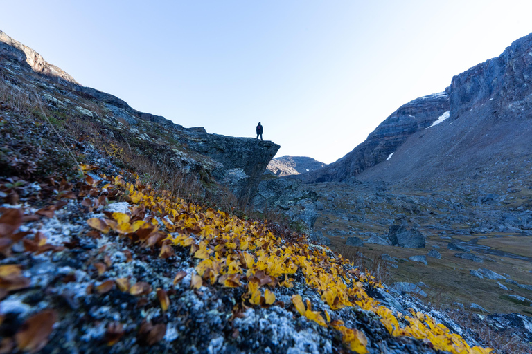 Abisko: Guided Hike to Lake Trollsjön with Photos & Drinks