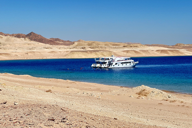 Sharm: Small Group White Island & Ras Mohammed Boat Cruise Small Group White Island & Transfer, without Snorkel Gear