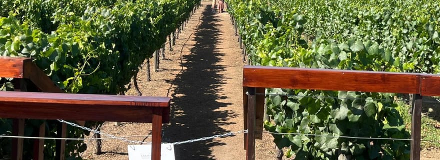 De Valparaíso à Casablanca : circuit œnologique avec dégustation de vins de qualité et transport