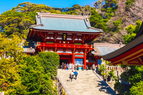 Tokyo Yokohama Night View Tour With Kamakura And Enoshima