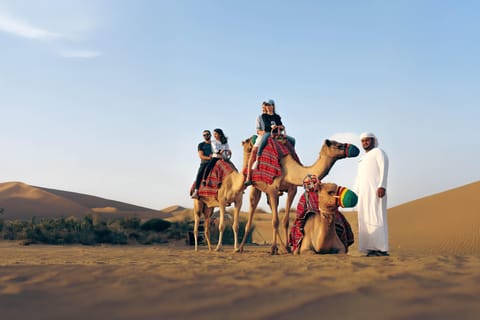 Dubai: Heritage Camel Desert Safari with Traditional Dinner