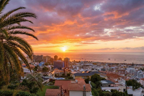 Private Teide & North Tenerife: Volcano, Valleys & Old Towns Afternoon Tour with Sunset Views