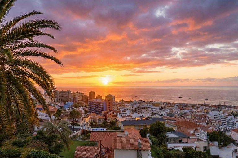 Private Teide & North Tenerife: Volcano, Valleys & Old Towns Afternoon Tour with Sunset Views