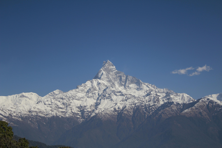 De Pokhara: Caminhada de um dia no Acampamento Australiano com guia local