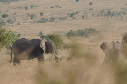 5 Days Amboseli / Tsavo East & Tsavo West Safari