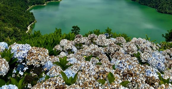 São Miguel: Sete Cidades Half-Day Tour
