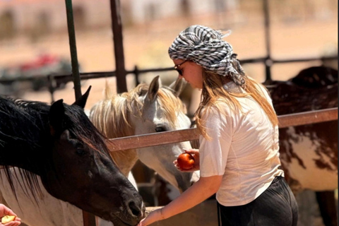 Hurghada: Desert and Red Sea Horseback Riding Tour