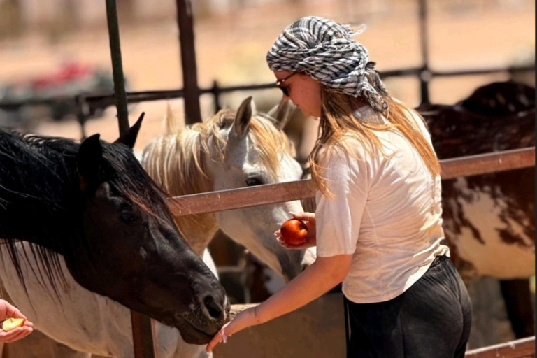 Hurghada: Desert and Red Sea Horseback Riding Tour