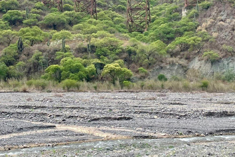 Salta: Movitren: Train to the clouds with transfer in Movitrack MOVITREN: Train + Transfer