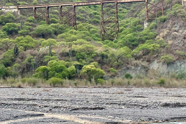 Salta: Movitren: Train to the clouds with transfer in Movitrack MOVITREN: Train + Transfer