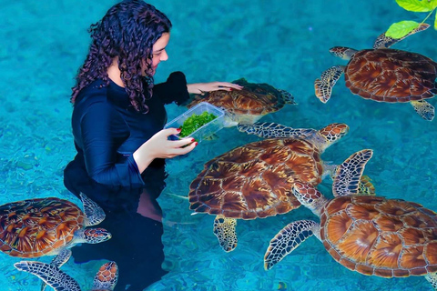 Zanzibar: las Jozani i jaskinia Salaam z odbiorem z hoteluWYCIECZKA PRYWATNA: z odbiorem z hotelu ze WSZYSTKICH HOTELI na Zanzibarze