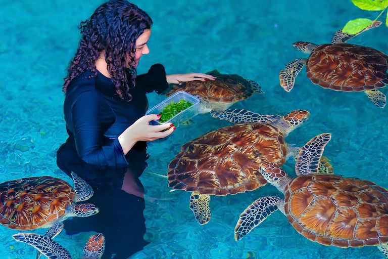 Zanzibar: las Jozani i jaskinia Salaam z odbiorem z hoteluWYCIECZKA PRYWATNA: z odbiorem z hotelu ze WSZYSTKICH HOTELI na Zanzibarze