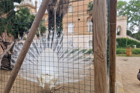 Da Salou: Parco Samá con degustazione di 1 vermouth, servizio di prelievo in hotelDa Salou: Park Samá con 1 degustazione di vermouth, servizio di prelievo in hotel