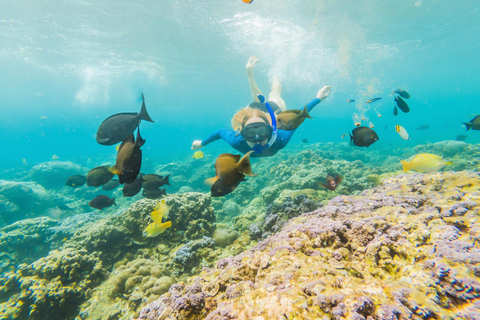 Ko Lanta: Snorkeling Adventure Tour to Koh Rok and Koh Haa Snorkeling Adventure with pickup in Ko Lanta