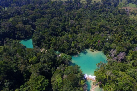 Desde Palenque: Cascadas de Roberto Barrios
