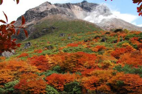 From Tokyo To Nikko Private Day Tour With English Guide