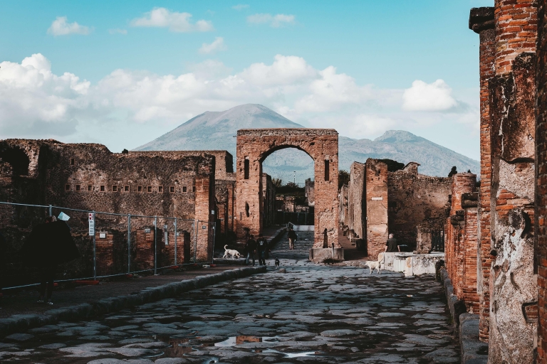 Ruïnes van Pompeii en wijnproeverij