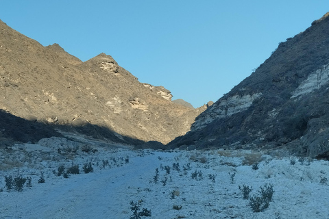 Salalah Secret Beach Tour with Dinner and Snacks