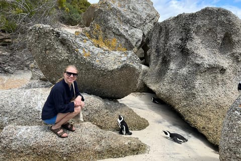 Cape of Good Hope and Penguins Private Tour with Entry Fees