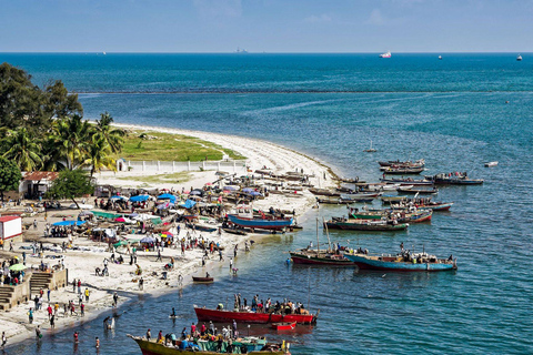 Au départ de ZANZIBAR : tour en bateau de la ville de Dar es Salaam (visite privée)