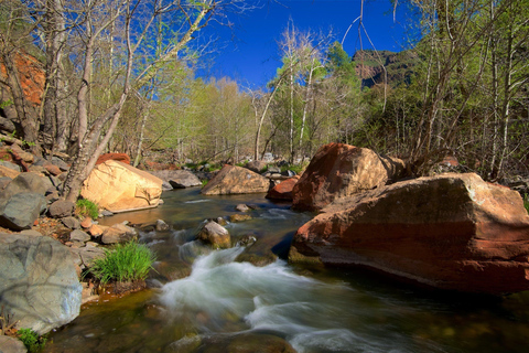 From Phoenix: Grand Canyon and Sedona Oak Creek Day Tour