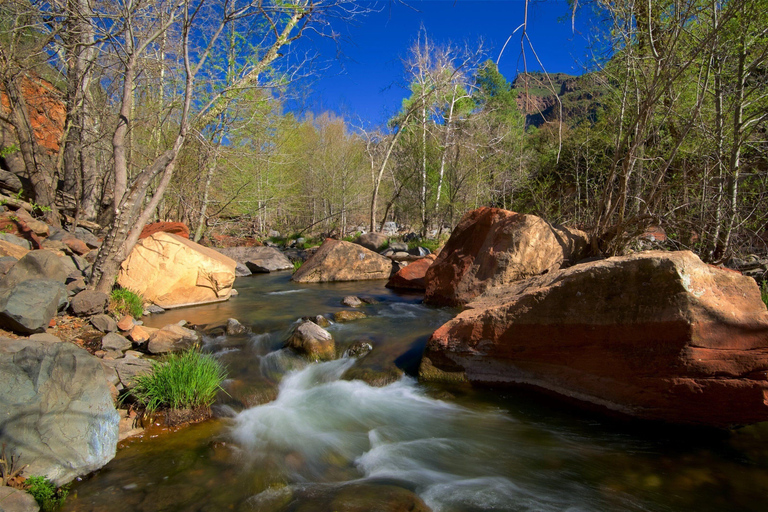 From Phoenix: Grand Canyon and Sedona Oak Creek Day Tour