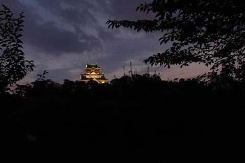 Osaka: Osaka Castle Haunted Night Walk