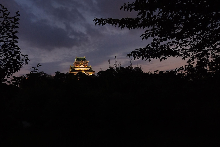 Osaka: Osaka Castle Haunted Night Walk