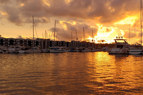 Marina Del Rey : Dîner-croisière surprise romantique et luxueux